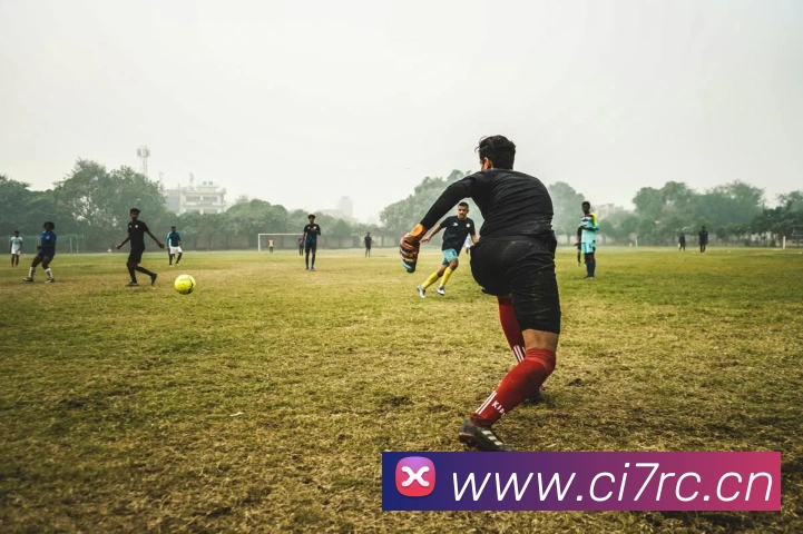 云顶集团官网登录入口平台生态图